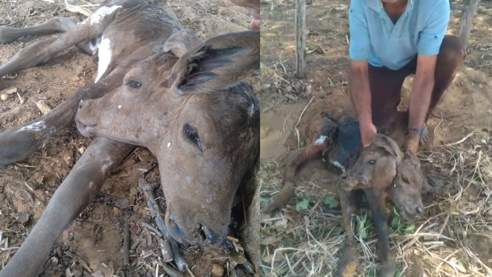 foto Not&iacute;cia Parnaíba