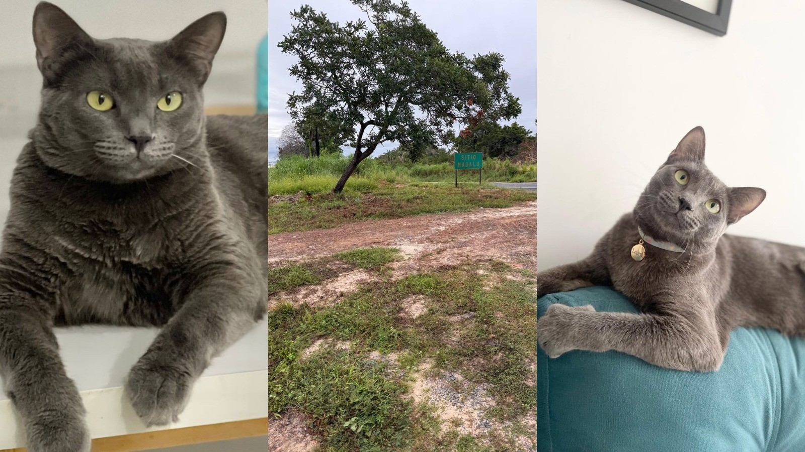 foto Not&iacute;cia Parnaíba