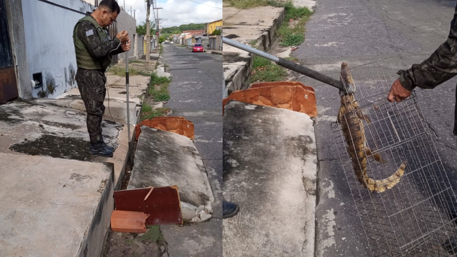 foto Not&iacute;cia Parnaíba