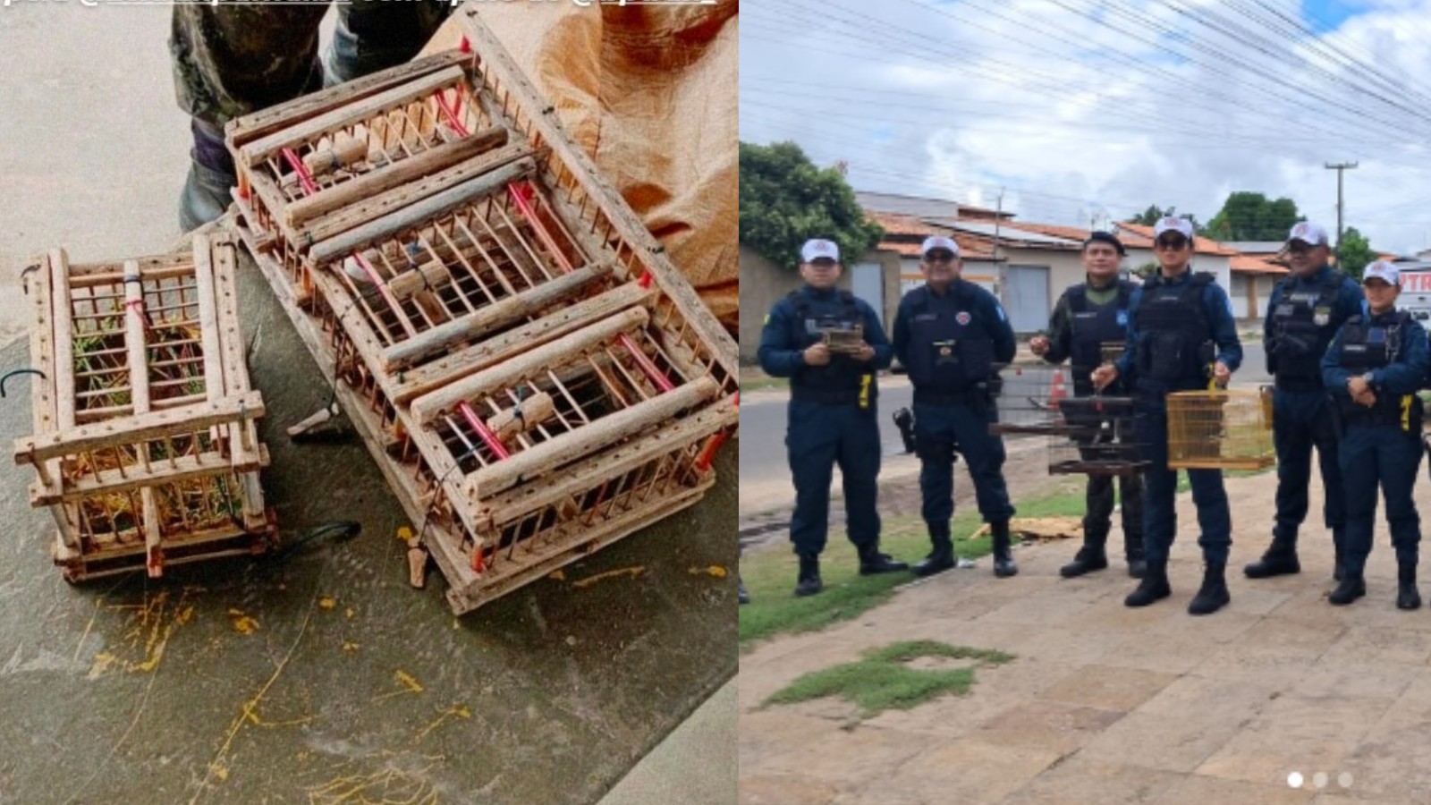 foto Not&iacute;cia Parnaíba
