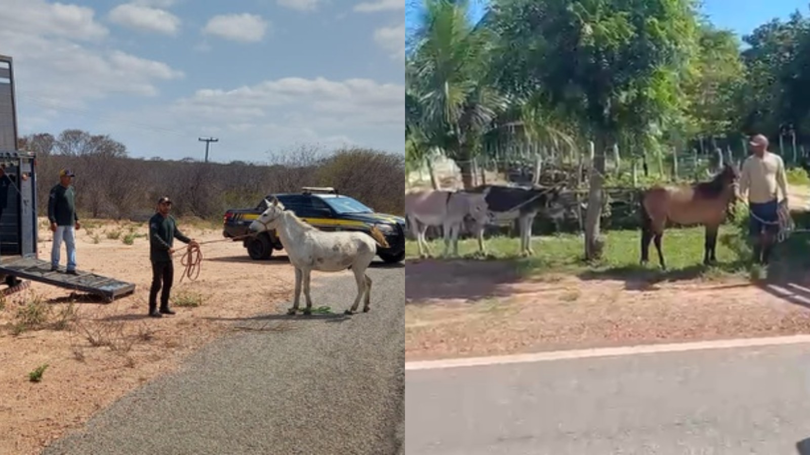 foto Not&iacute;cia Parnaíba